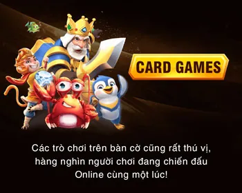 Giải thích về quy định GDPR và cam kết của 33vin