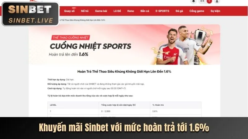 Xác nhận điều khoản 33vin